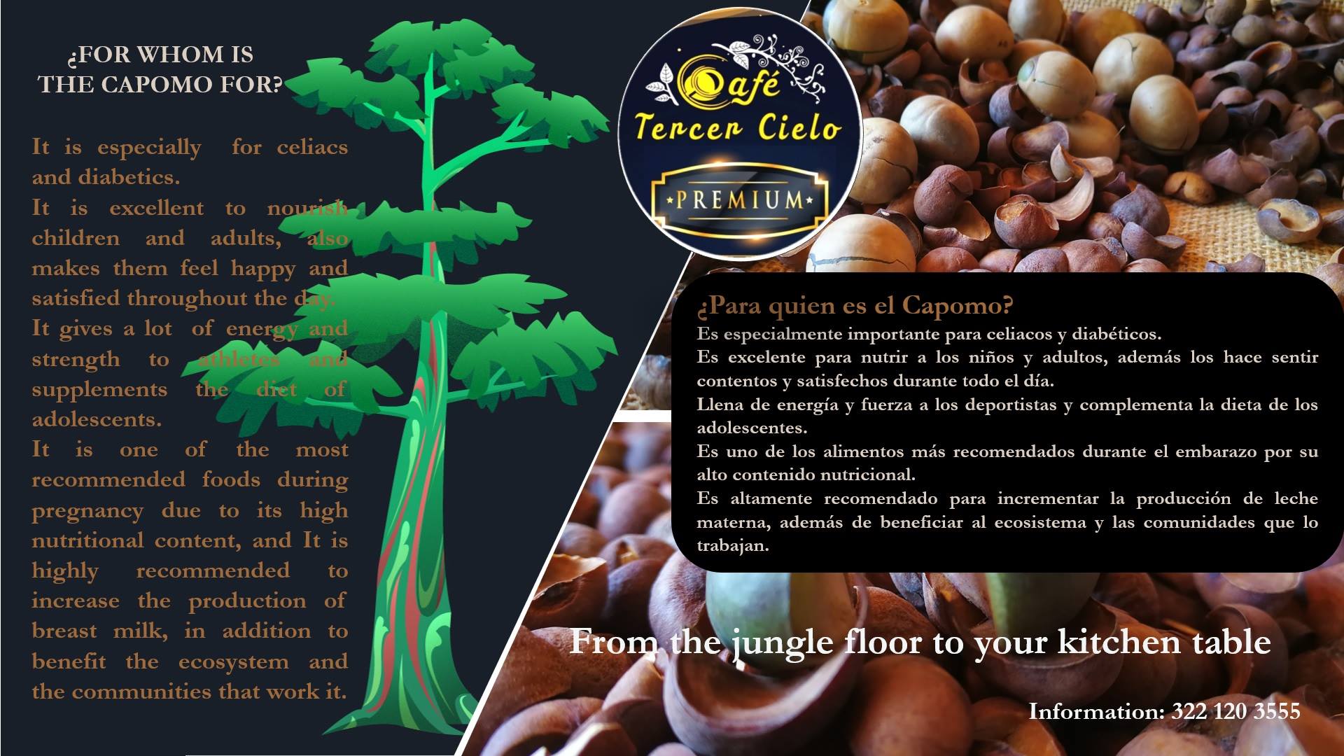 El árbol de Capomo Es endémico de la... - Café Tercer Cielo | Facebook