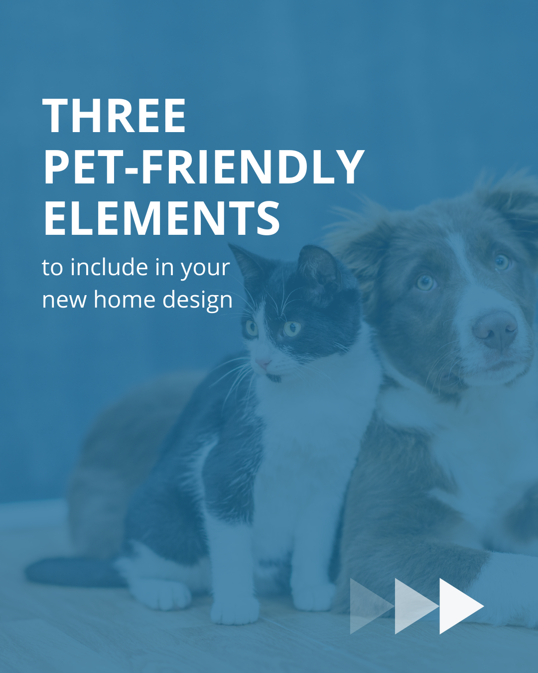 Pet Interior Design Ideas