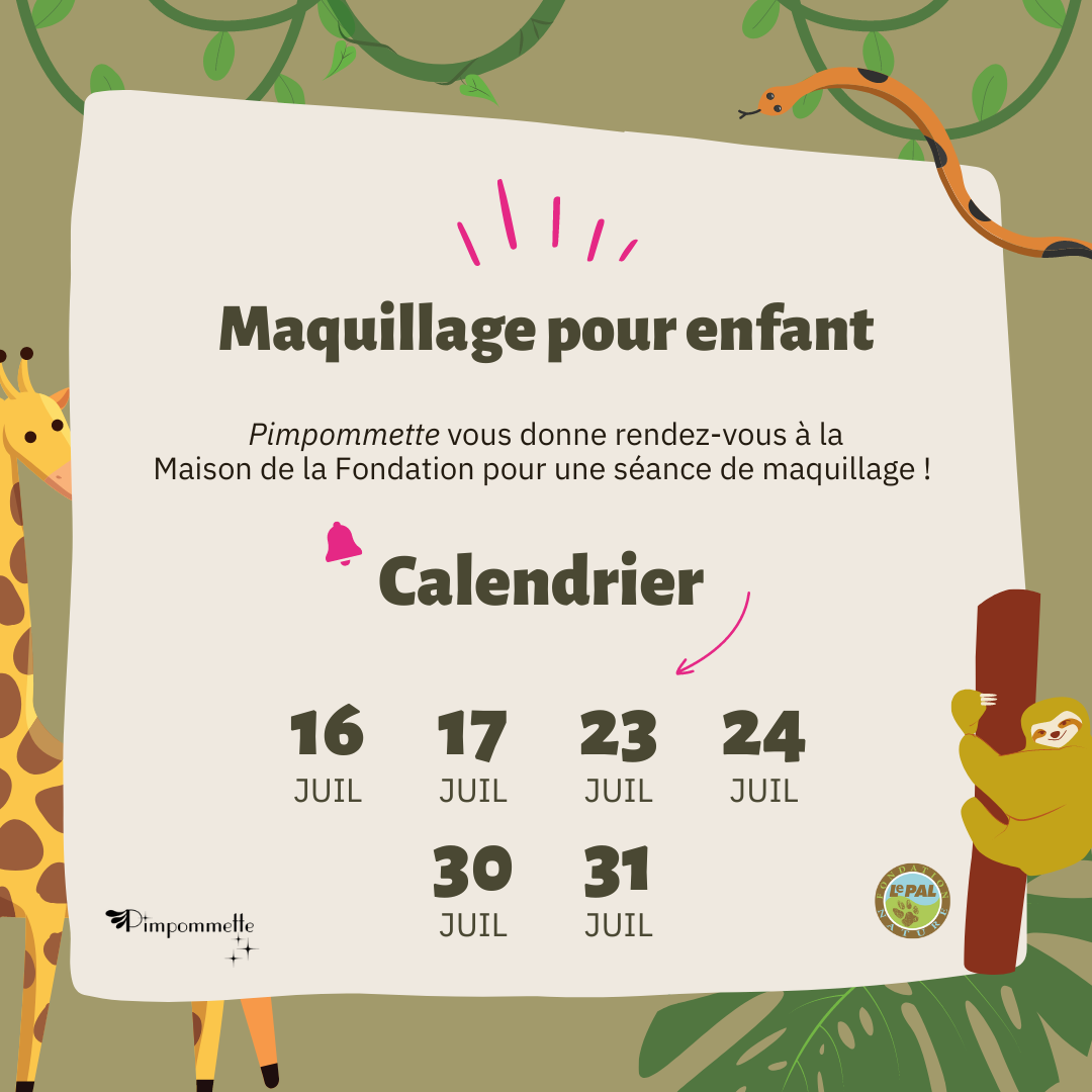 Aureyung Maquillage Enfant Fille, Lavable Coffret Maquillage Enfant, Palette Maquillage Enfant, Jouet Enfant 3 4 5 6 7 8 9 10 Ans Fille Jeu Fille, Cadeau Noël Anniversaire Fille 3 4 5 6 7 8 9 10 Ans - Cosmetics Insiders