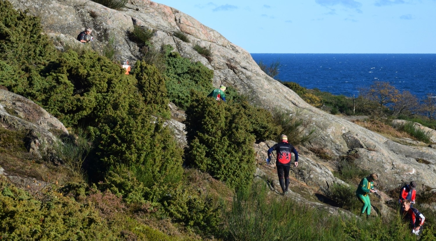 Danish Spring -... - Danish Spring - Orienteering