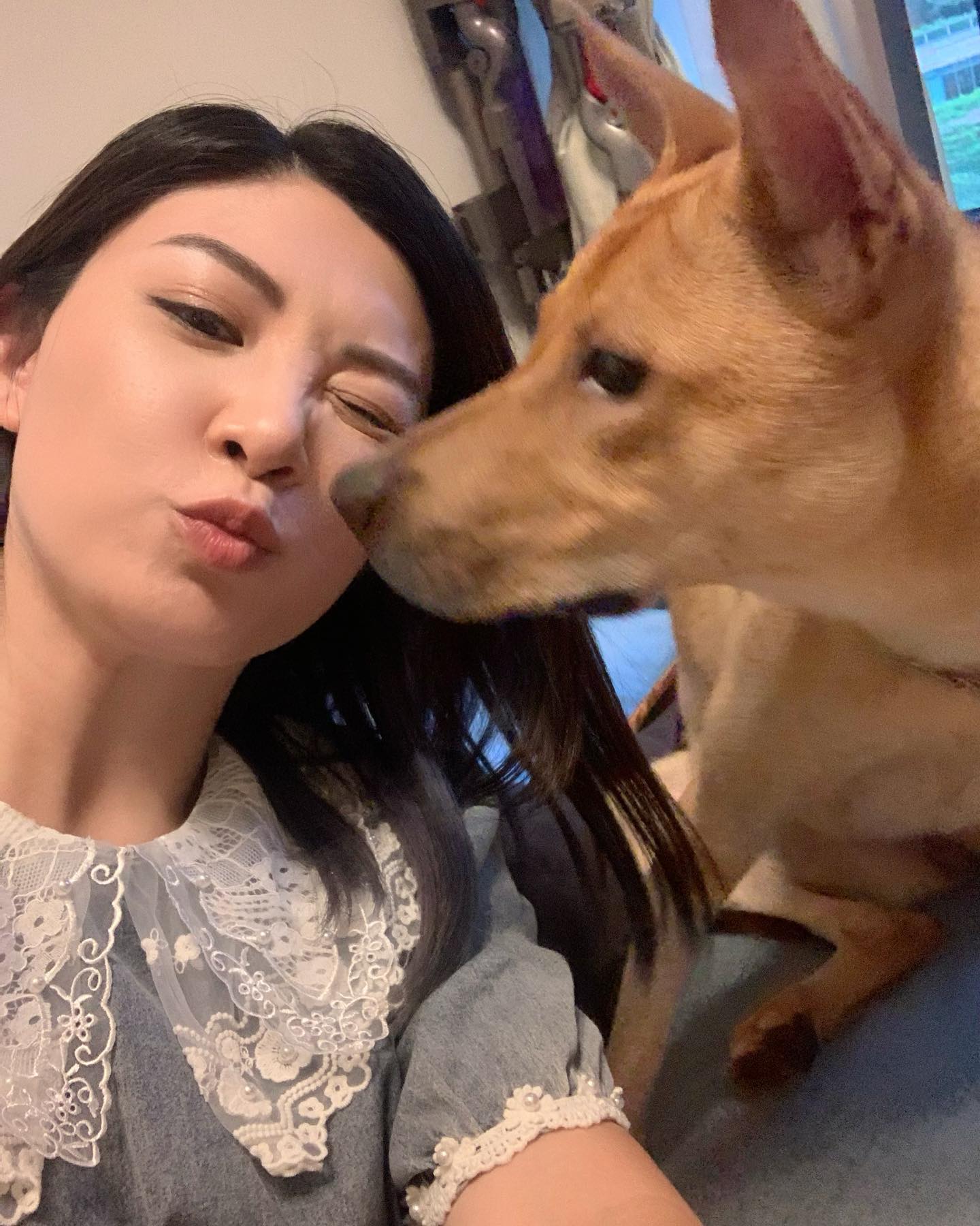 帶佢去寵物公園玩，開心到佢出現佢招牌嘅超開心迴旋揈尾🐕不過去完就攰死咗，即刻瞓啦... - 張文采 Wendy Cheung