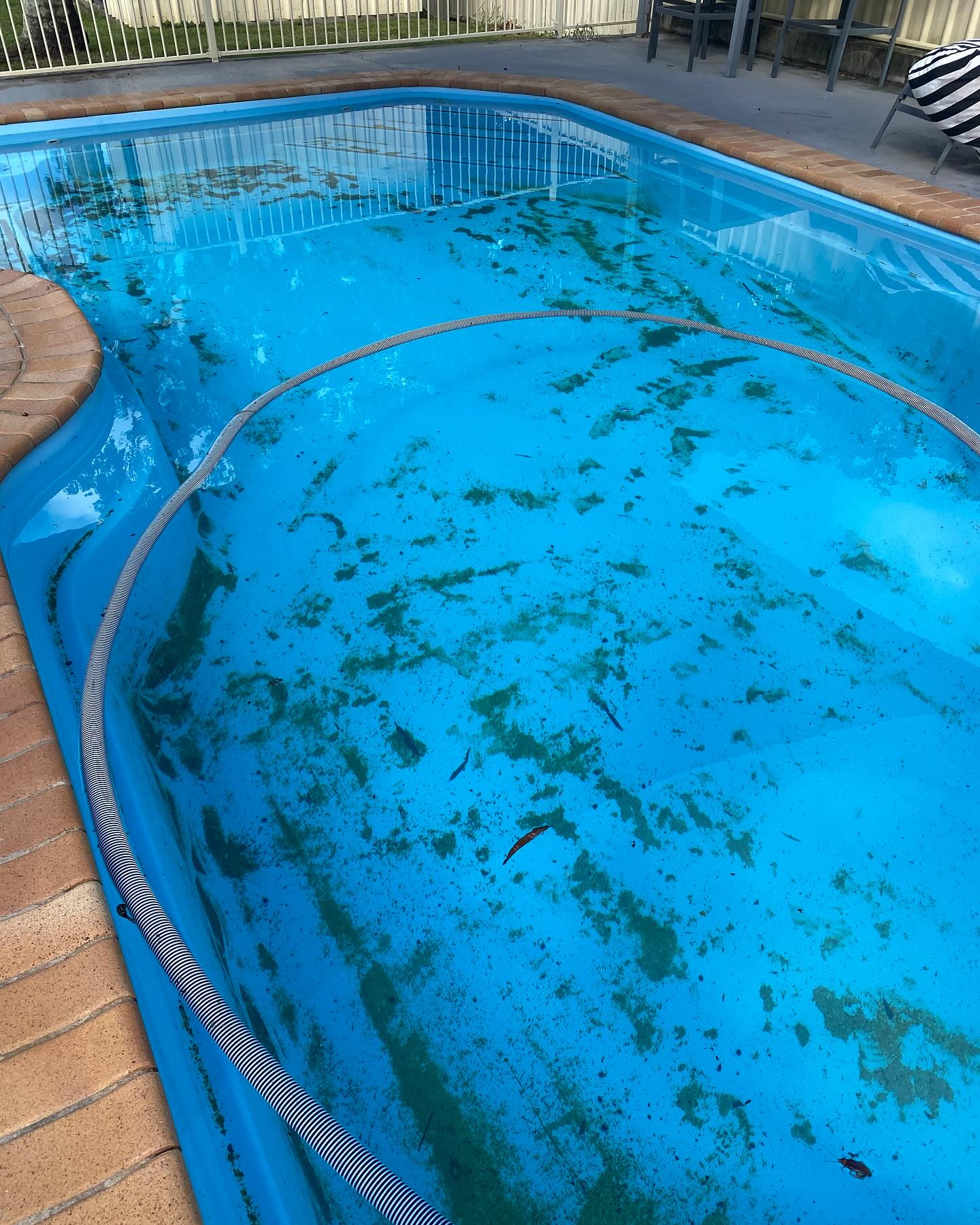 🌊 From Green to Pristine! 🌟... - Airlie Beach Pool Service | Facebook