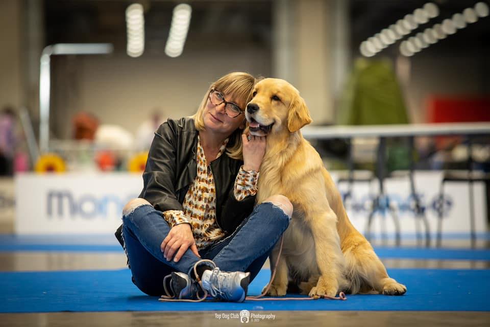 Goldendorado allevamento golden retriever linea americana added a new ...