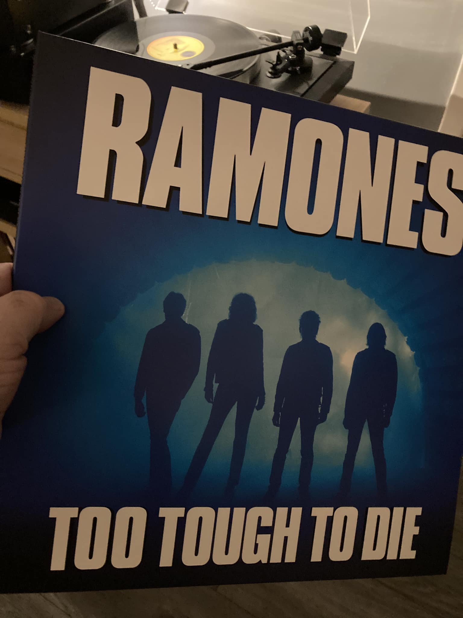 Ramones-Too Tough To Die. Love this album: