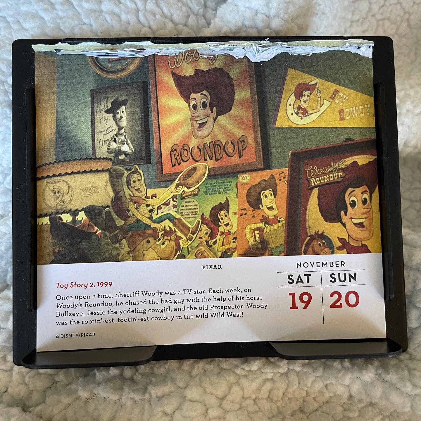 Woody's Roundup from Toy Story 2