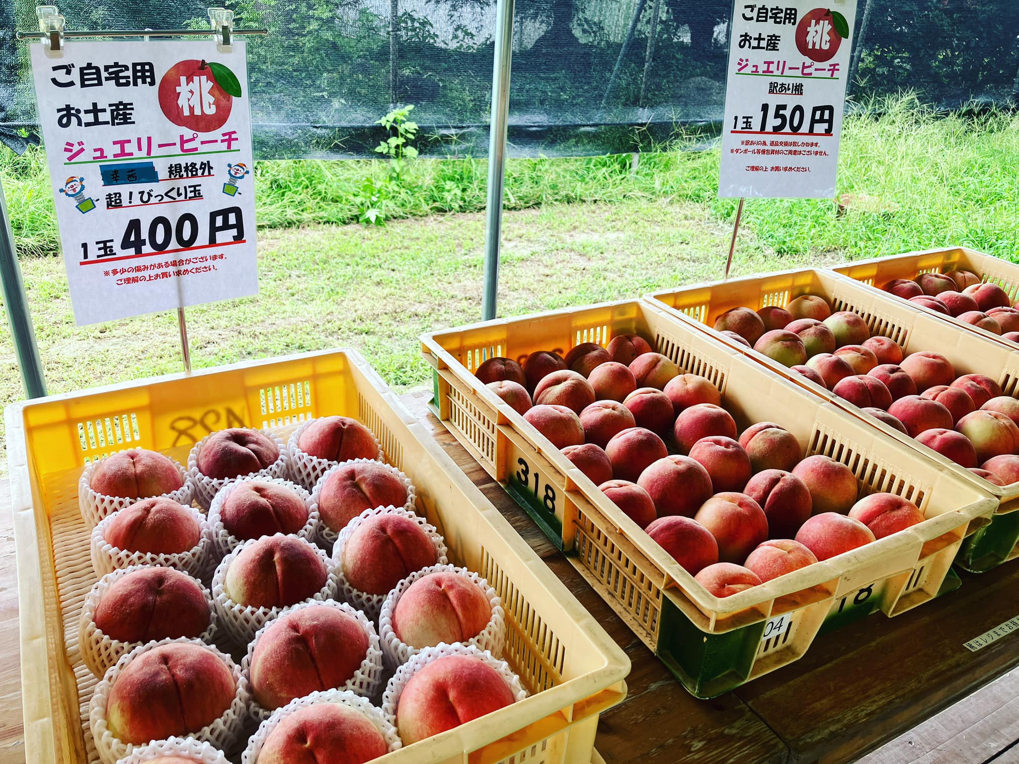 やまなし内藤農園／pesca-shop | Yamanashi-shi Yamanashi