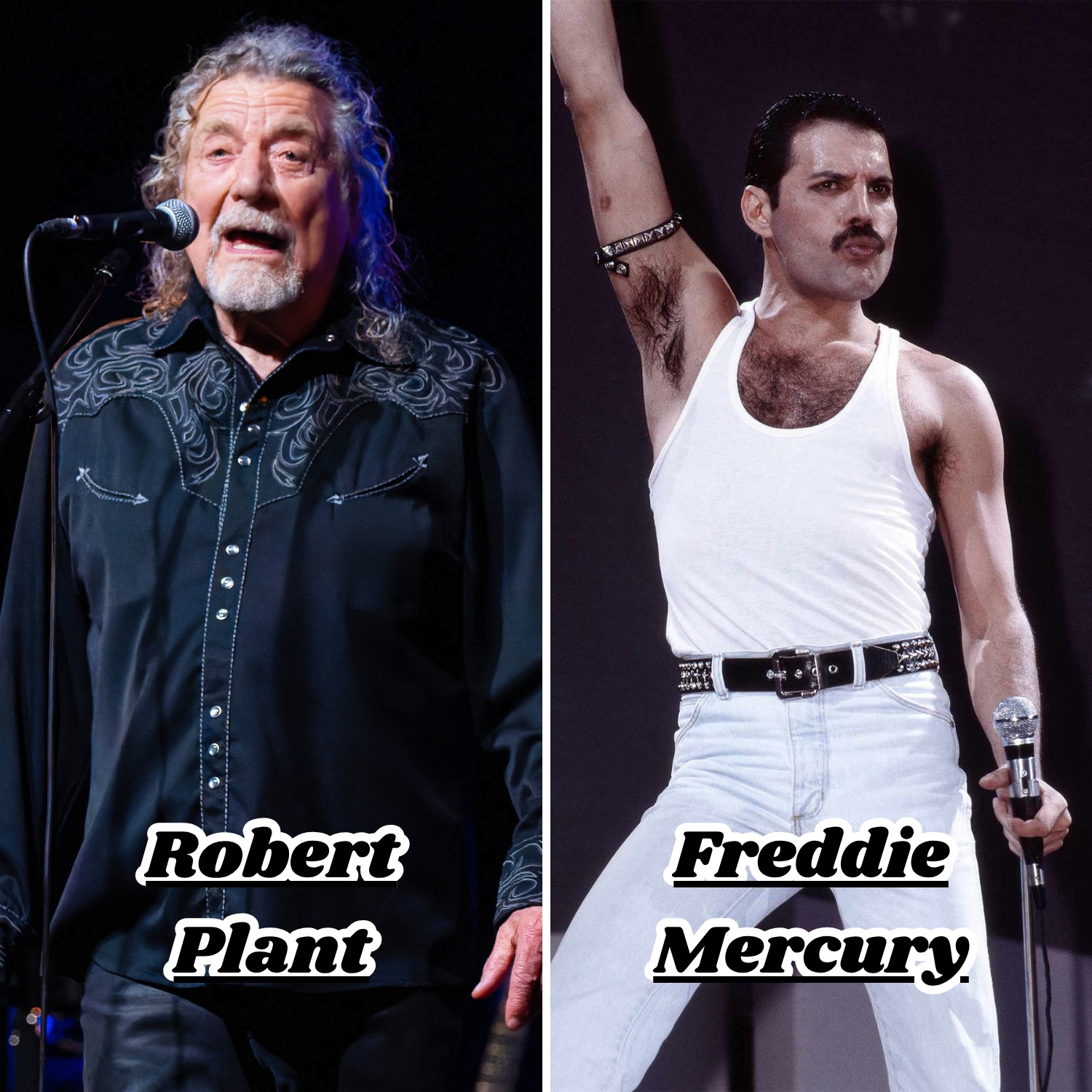 Cricket - 👍Robert Plant vs ️Freddie Mercury 👍Robert Plant As Led ...