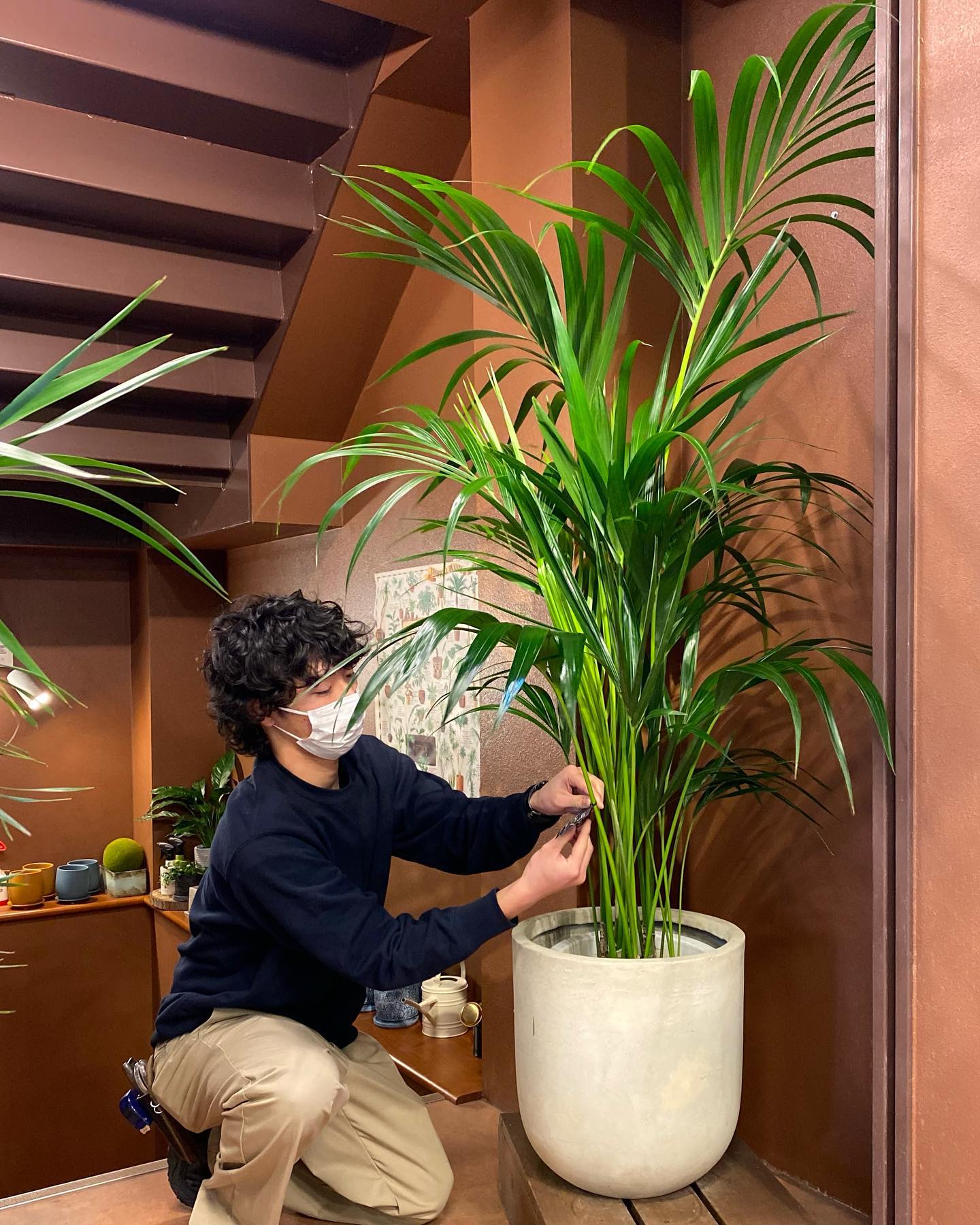 観葉植物専門店 ワールドガーデン Edogawa Ku Tokyo