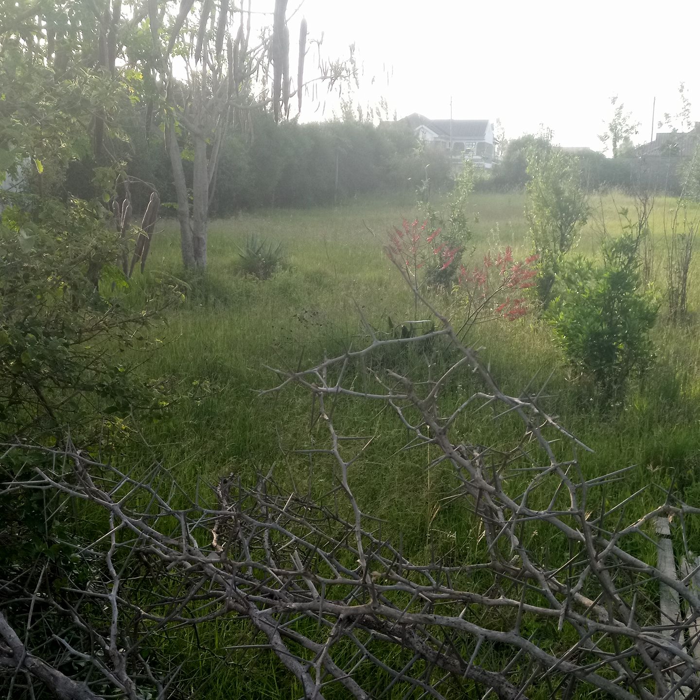 Ruai Best Plots | Nairobi