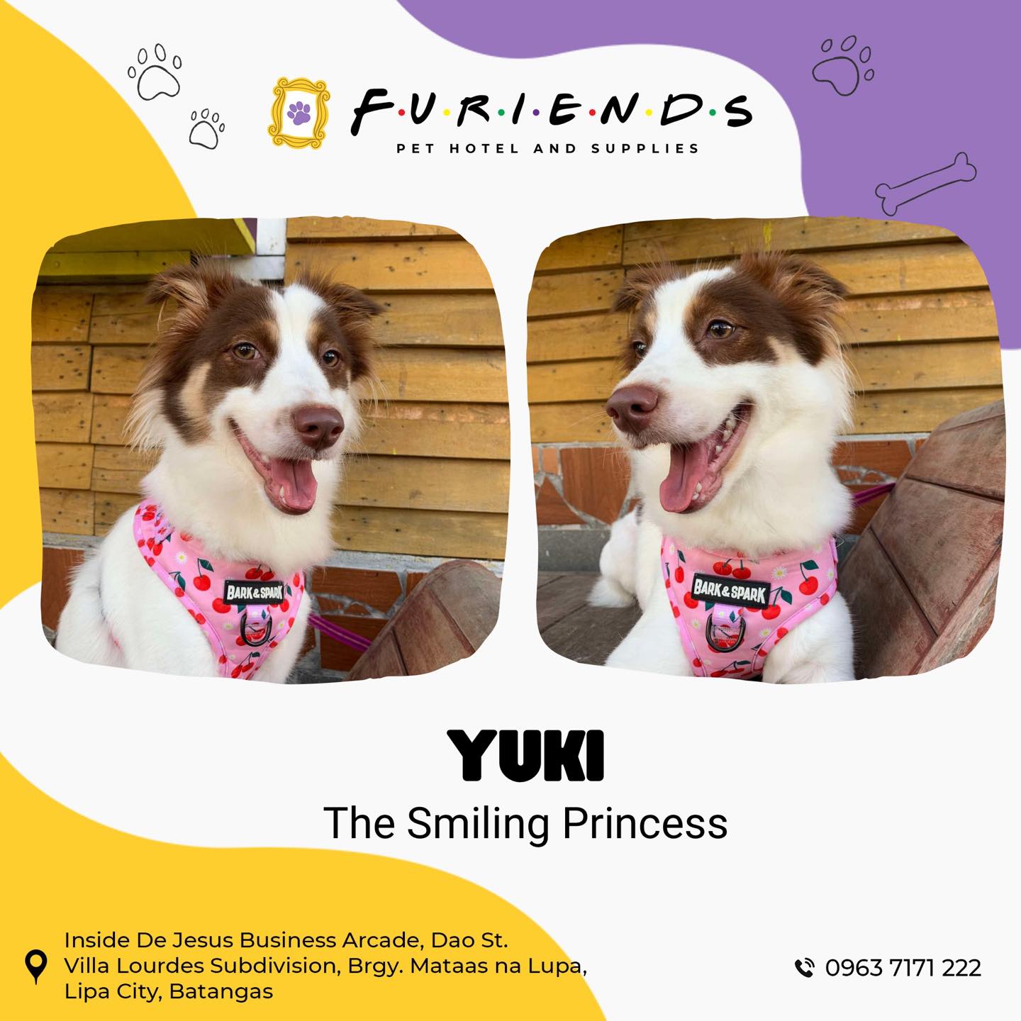Furiends Pet Hotel & Supplies | Lipa City