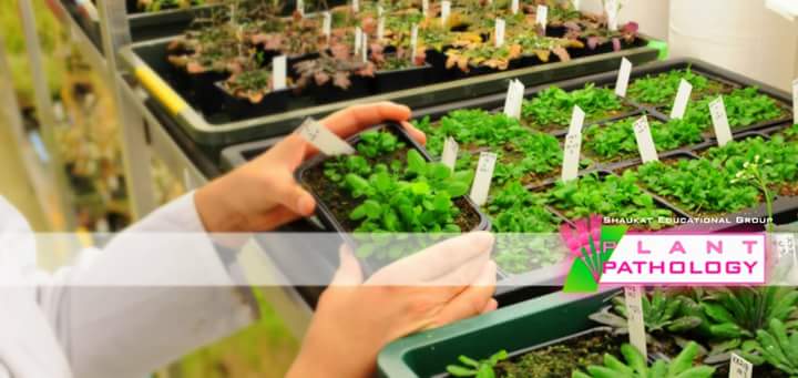 Plant Pathology Web