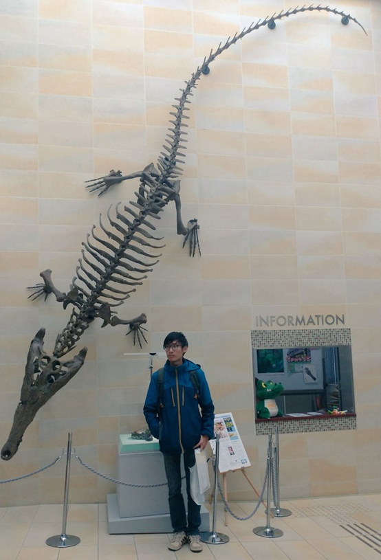東亞的巨型馬來鱷 Fossilfriday 台大古脊椎 Fossil Lab 508 Facebook