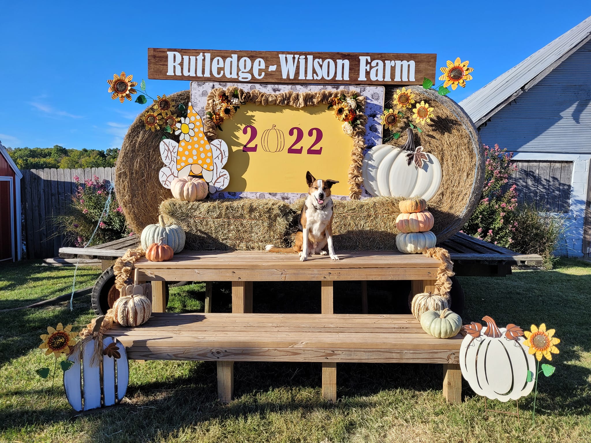 Rutledge Wilson Farm Park Fall Festival Hotsell | emergencydentistry.com