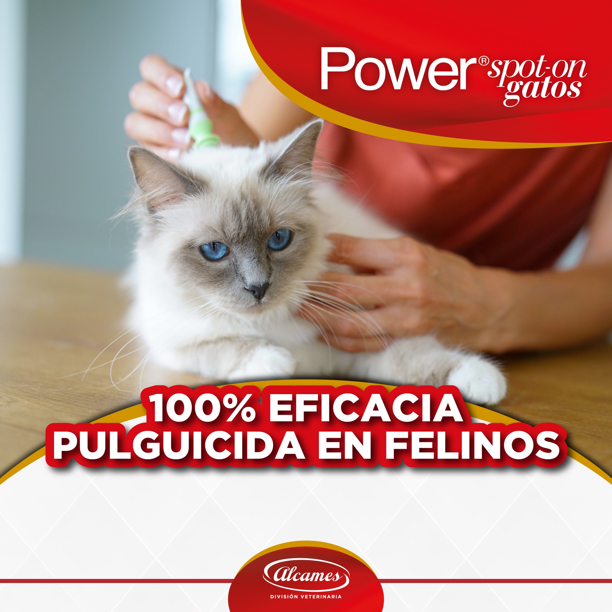 Eliminar y prevenir las... - Alcames División Veterinaria