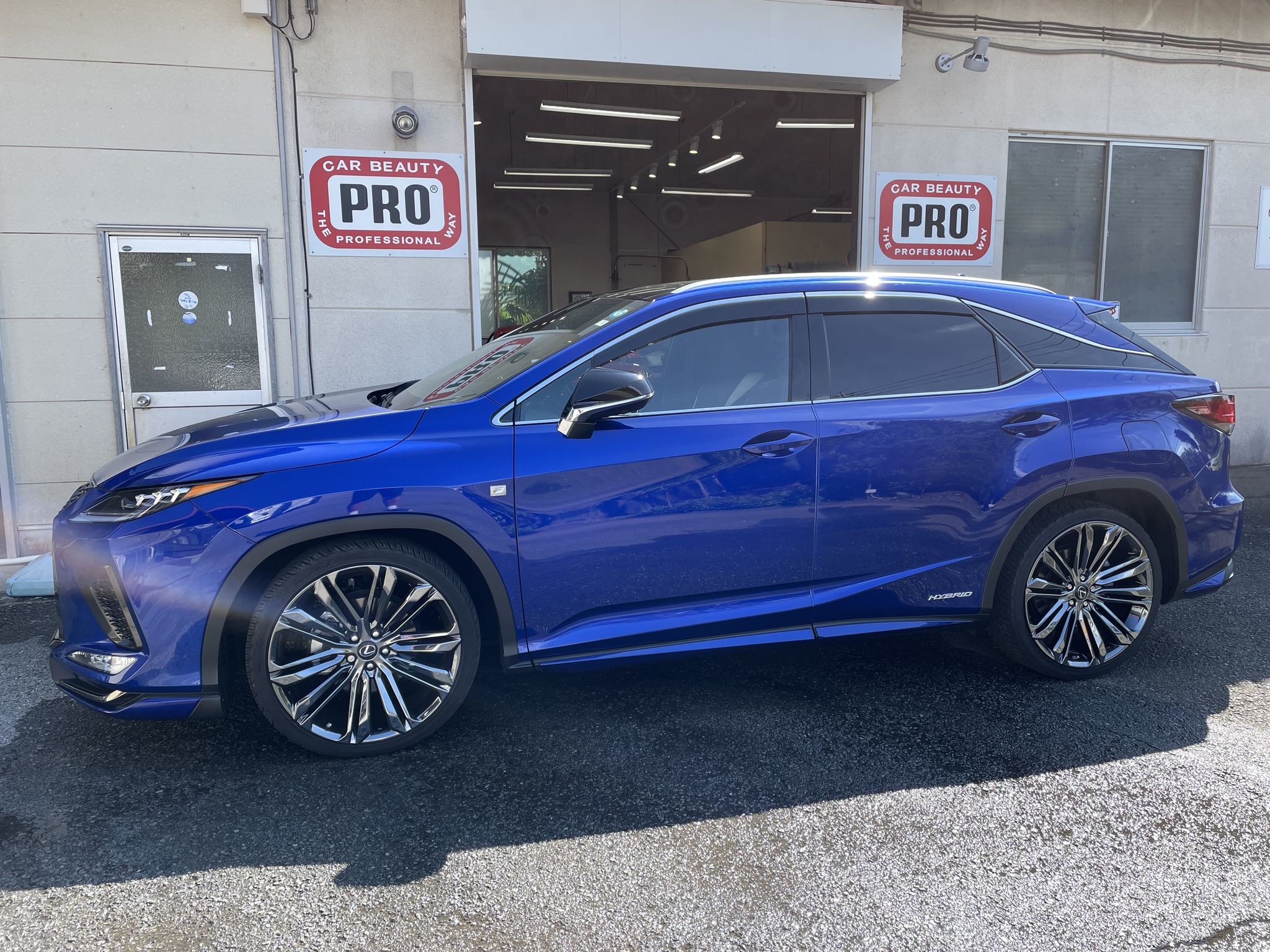 Car Beauty Pro BlueBottle... - Car Beauty Pro BlueBottle