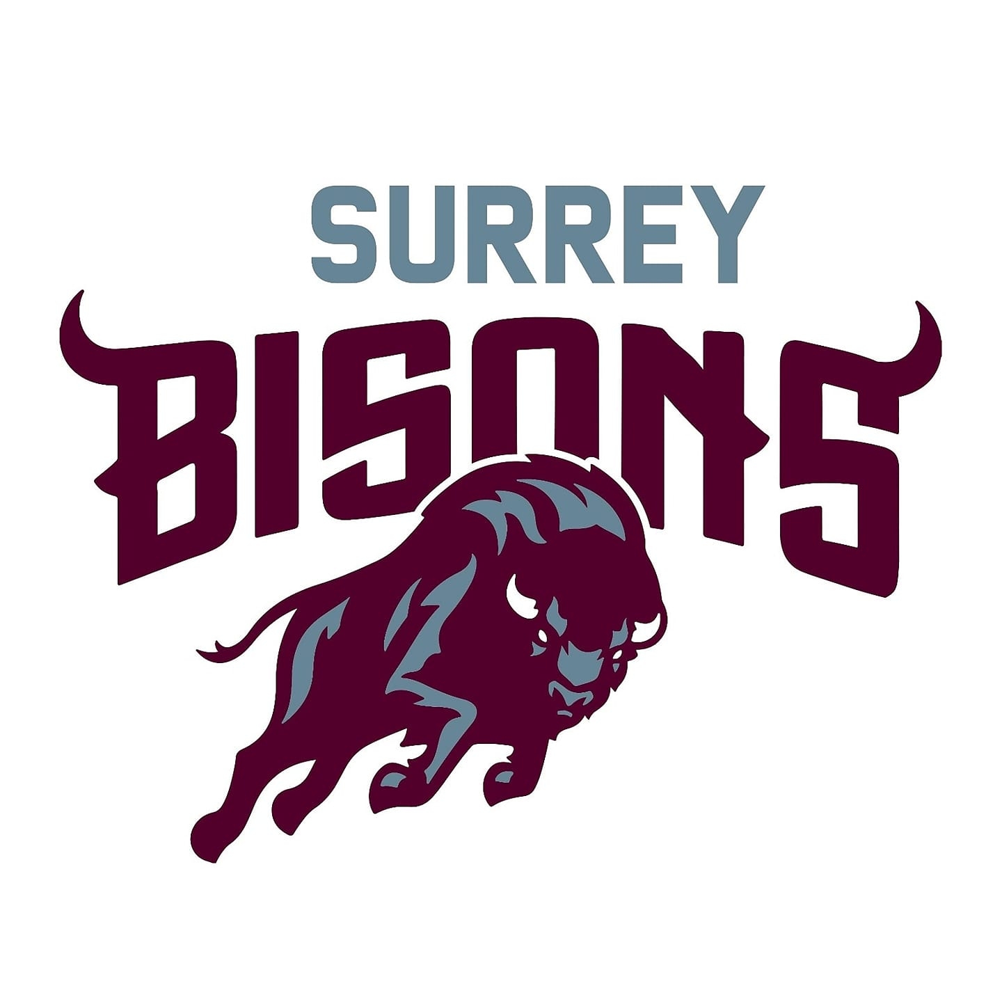 Surrey Bisons Touch Rugby... - Surrey Bisons Touch Rugby