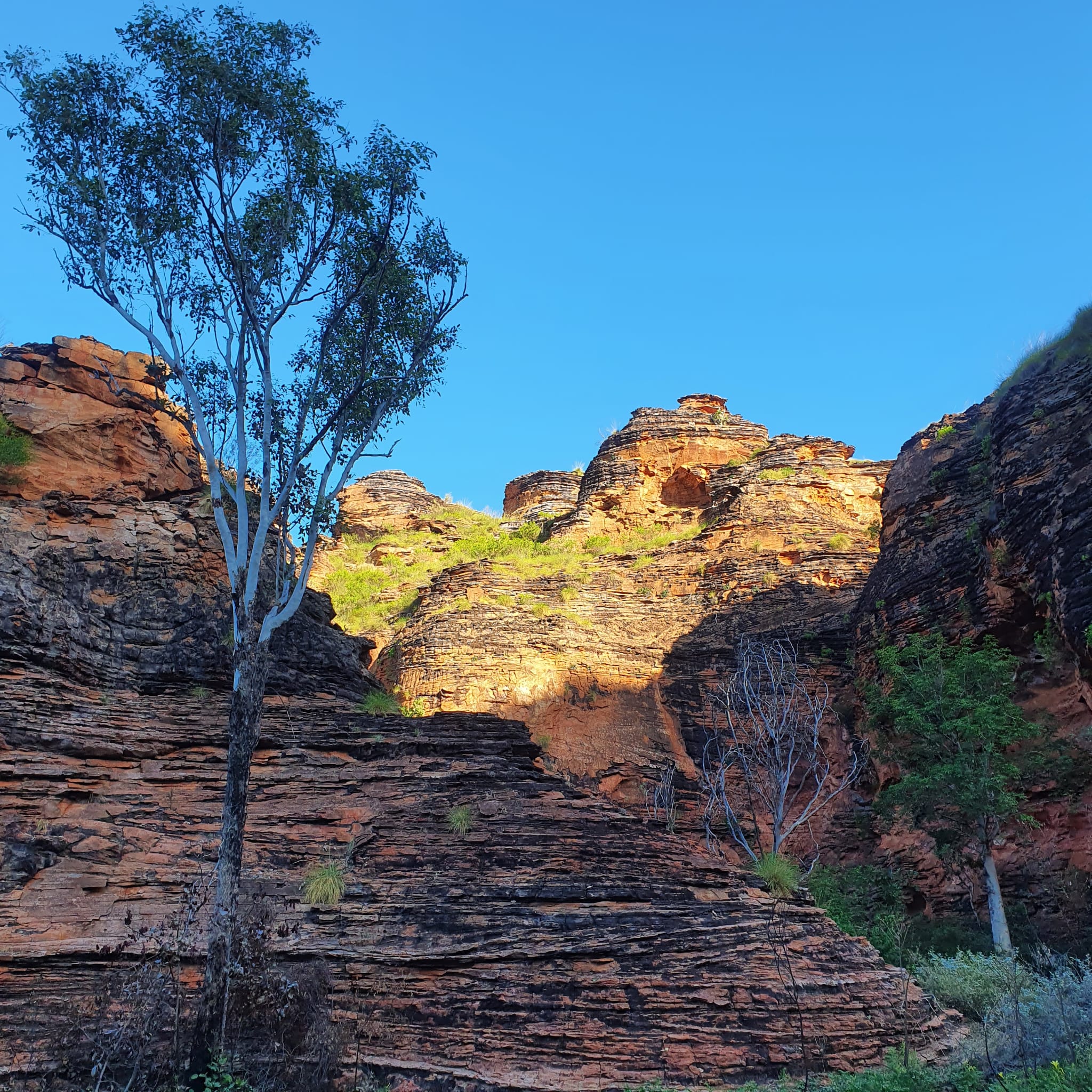 Mirma National Park - a Popular... - Kununurra Visitor Centre