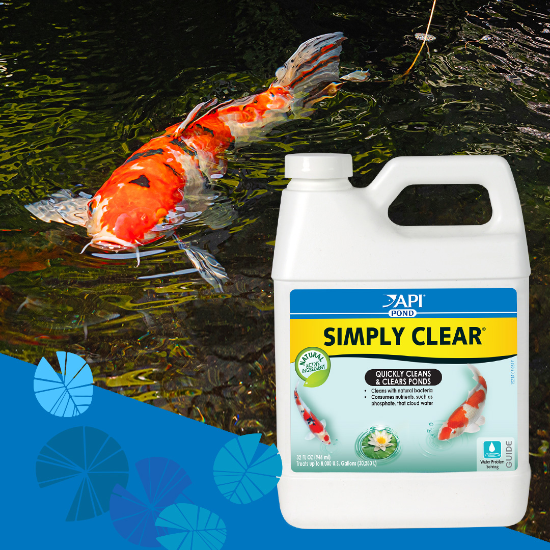 Natural Pond Water Treatment - 16 Pack Clarifier For Outdoor Ponds, Safe For Fish & Swimming, Made In USA