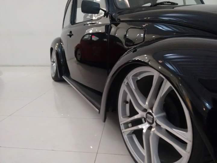 Alaniz CarColor | Guadalupe