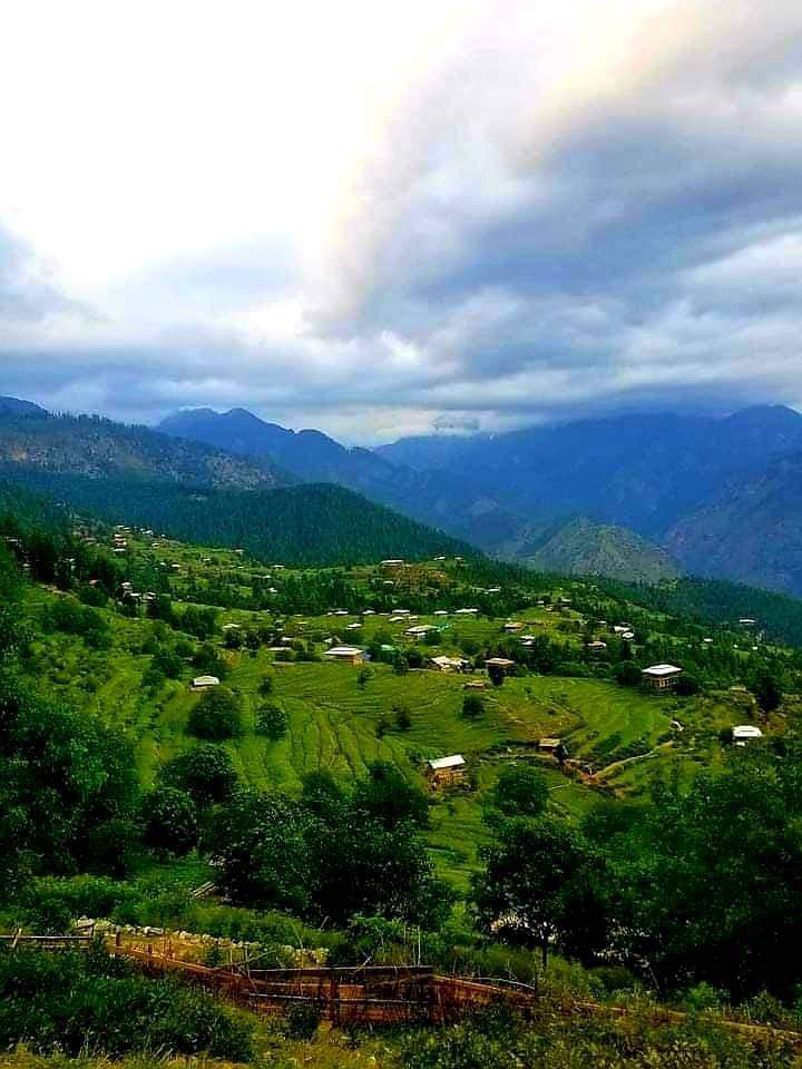 انـــعــــام کـــوھـــســتانـــی