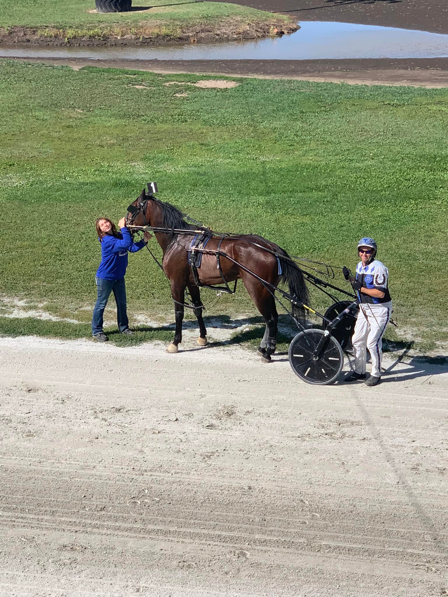 Iowa Harness... - Iowa Harness Horseman's Association