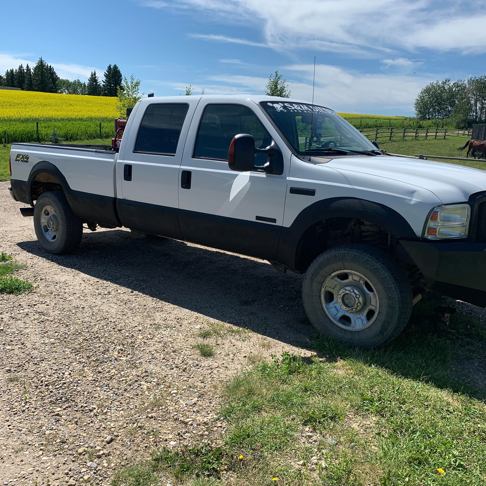 My little $400.00 💎! Yup. Just a grade girl, but I love her! I set up a ...