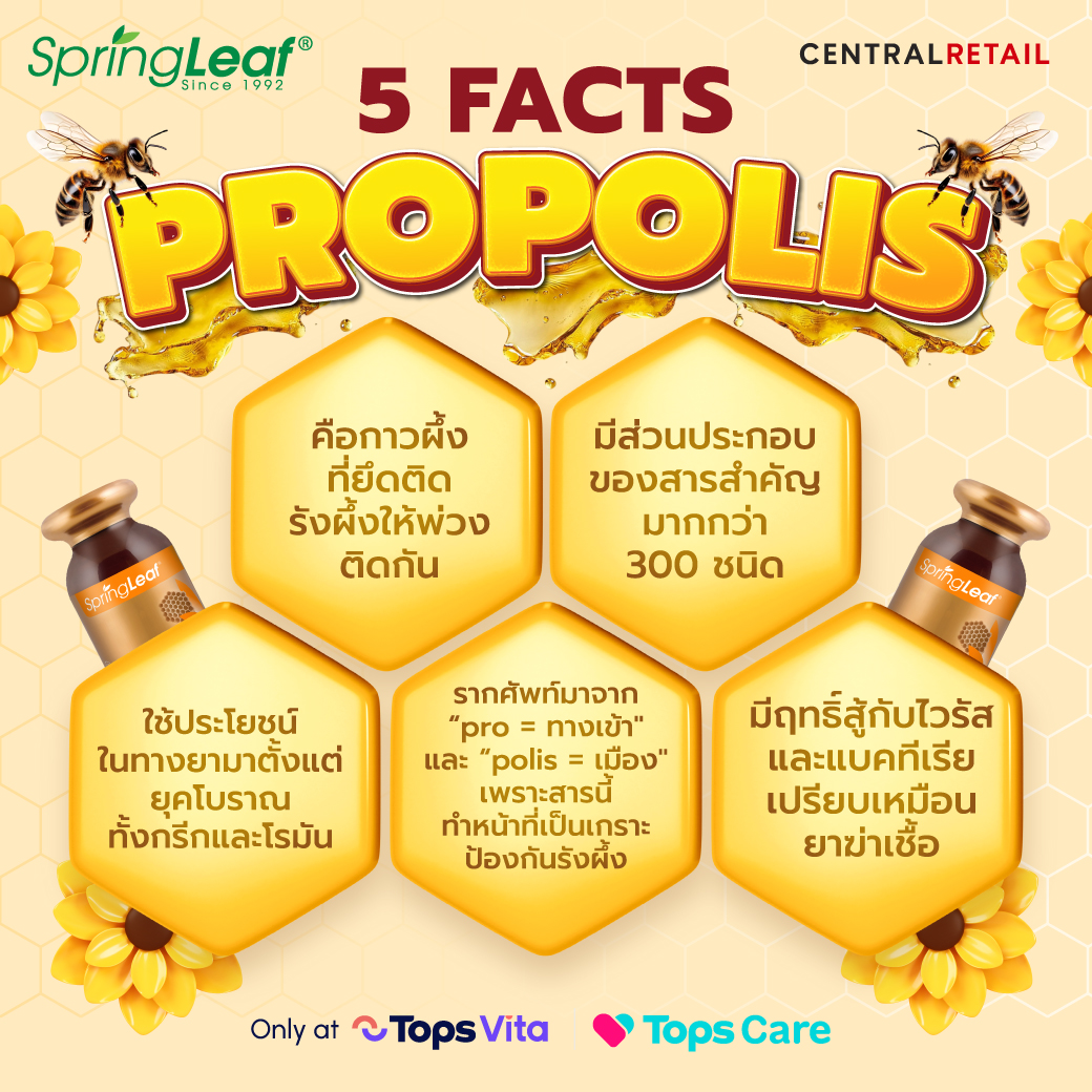 SpringLeaf Thailand | Bangkok