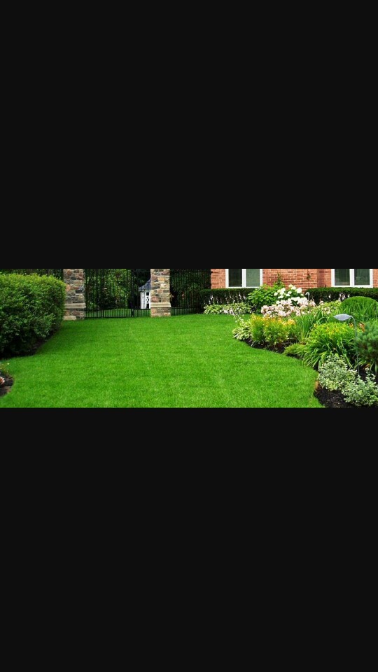 Cut Rite Lawn Care 601.559.4055 | Brandon MS