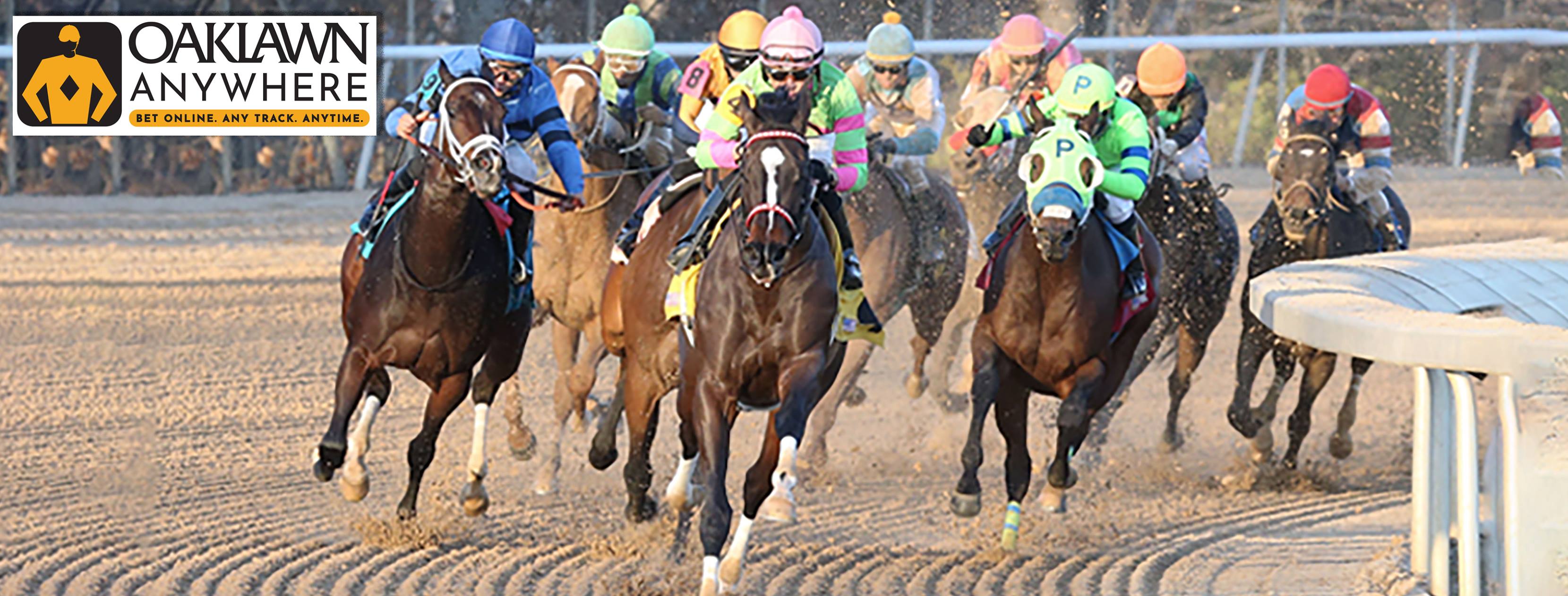 Oaklawn Hot Springs - AMERICAN THEOREM Trainer: George Papaprodromou ...