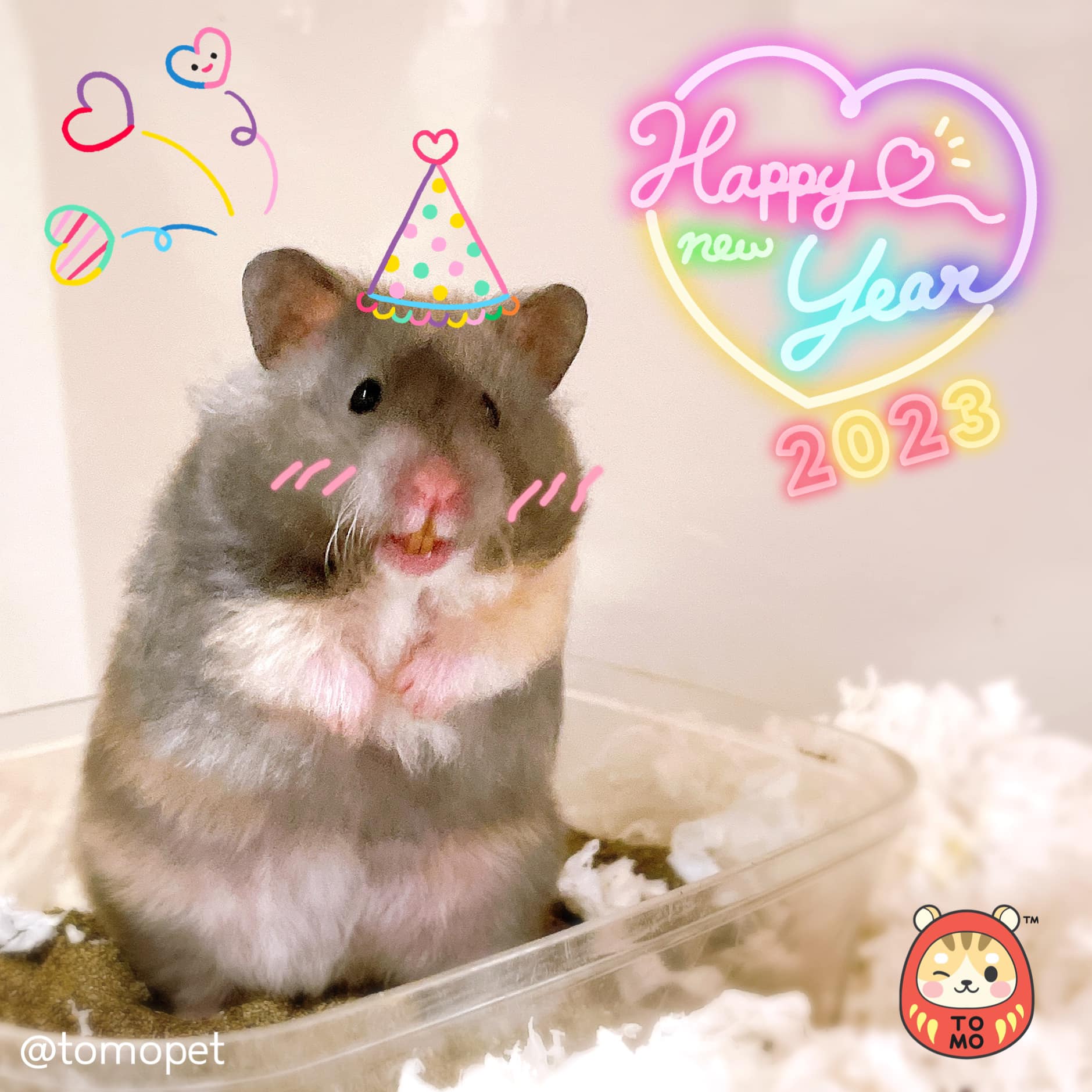 TOMO Hamster Farm โทโมะฟาร์ม