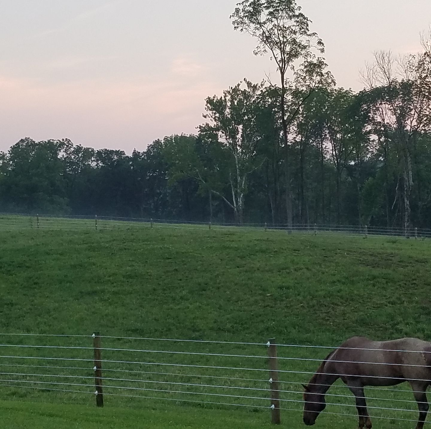 Riverside Ranch | Greencastle IN