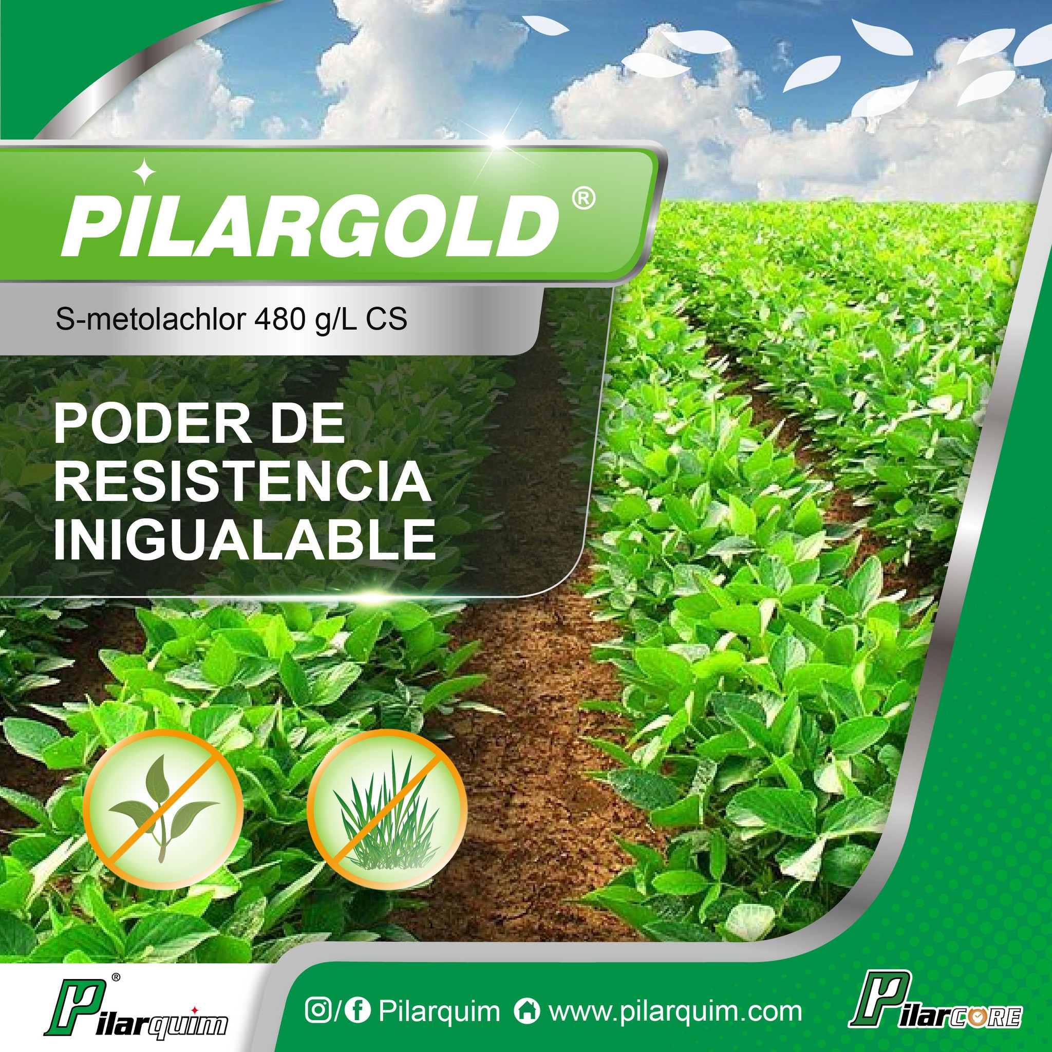 Pilarquim Latam SA