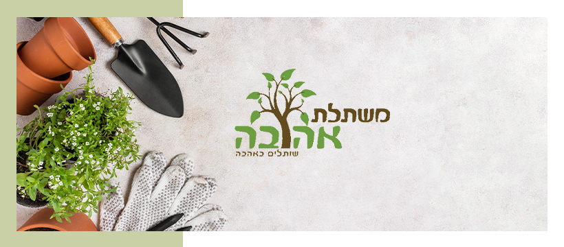 ‎משתלת גמזו /משתלה בטעם של פעם/ ייצור מבחר עצים וצמחי ארץ ישראל 054 ...