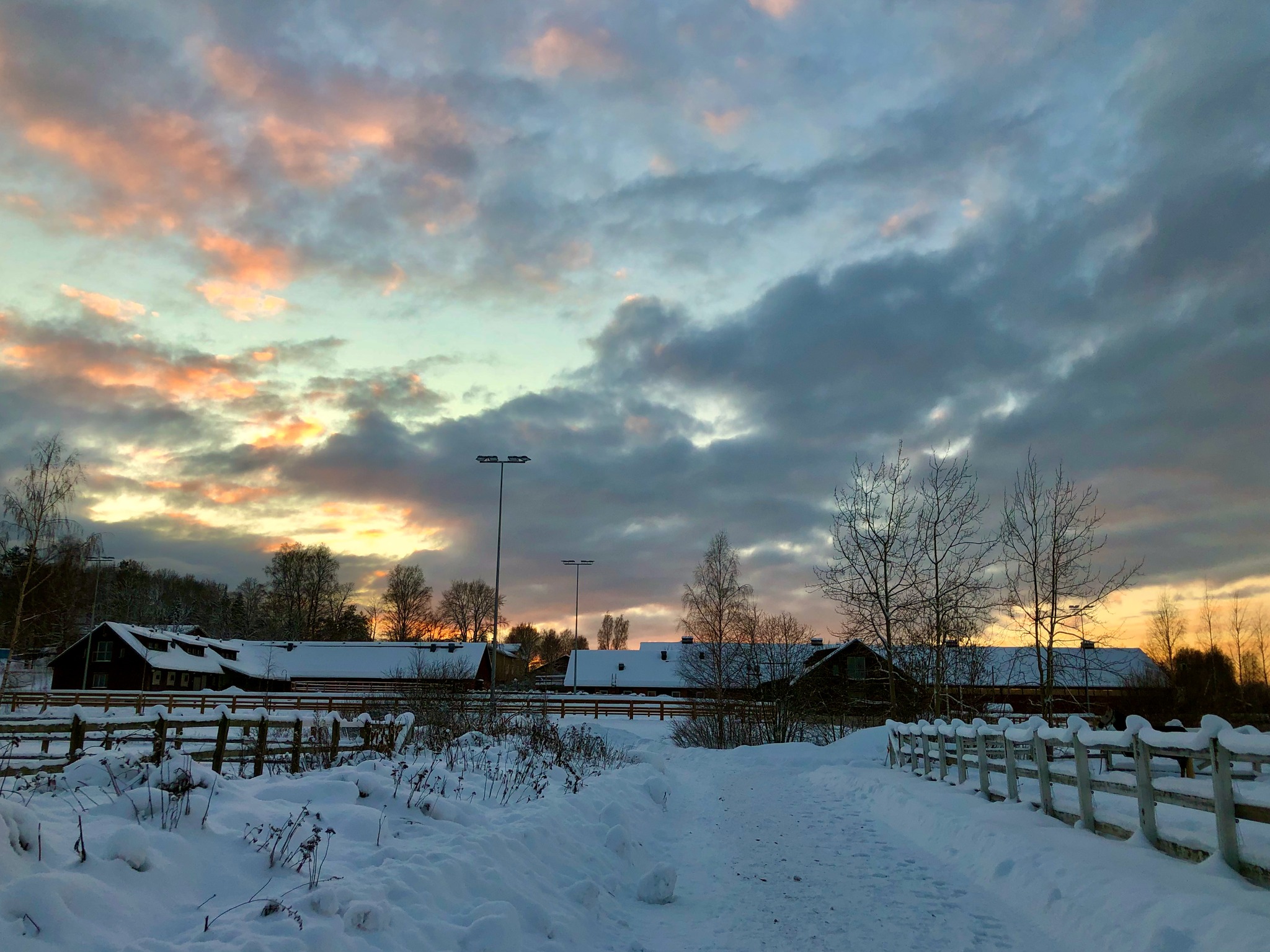 Tuomarinkylän - Rajoituksia maneesien käyttöön koronavirusepidemian ...