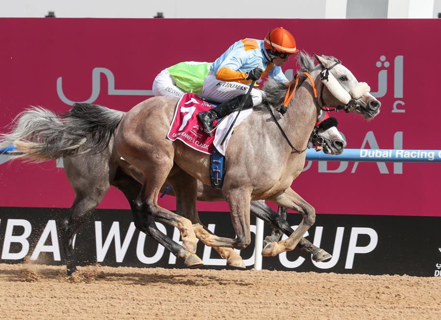 Arabian Racing Association of California