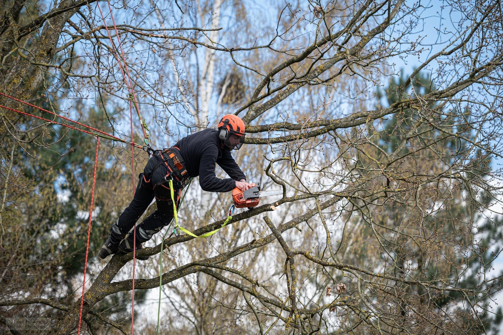 Tree Solutions Limited added a... - Tree Solutions Limited