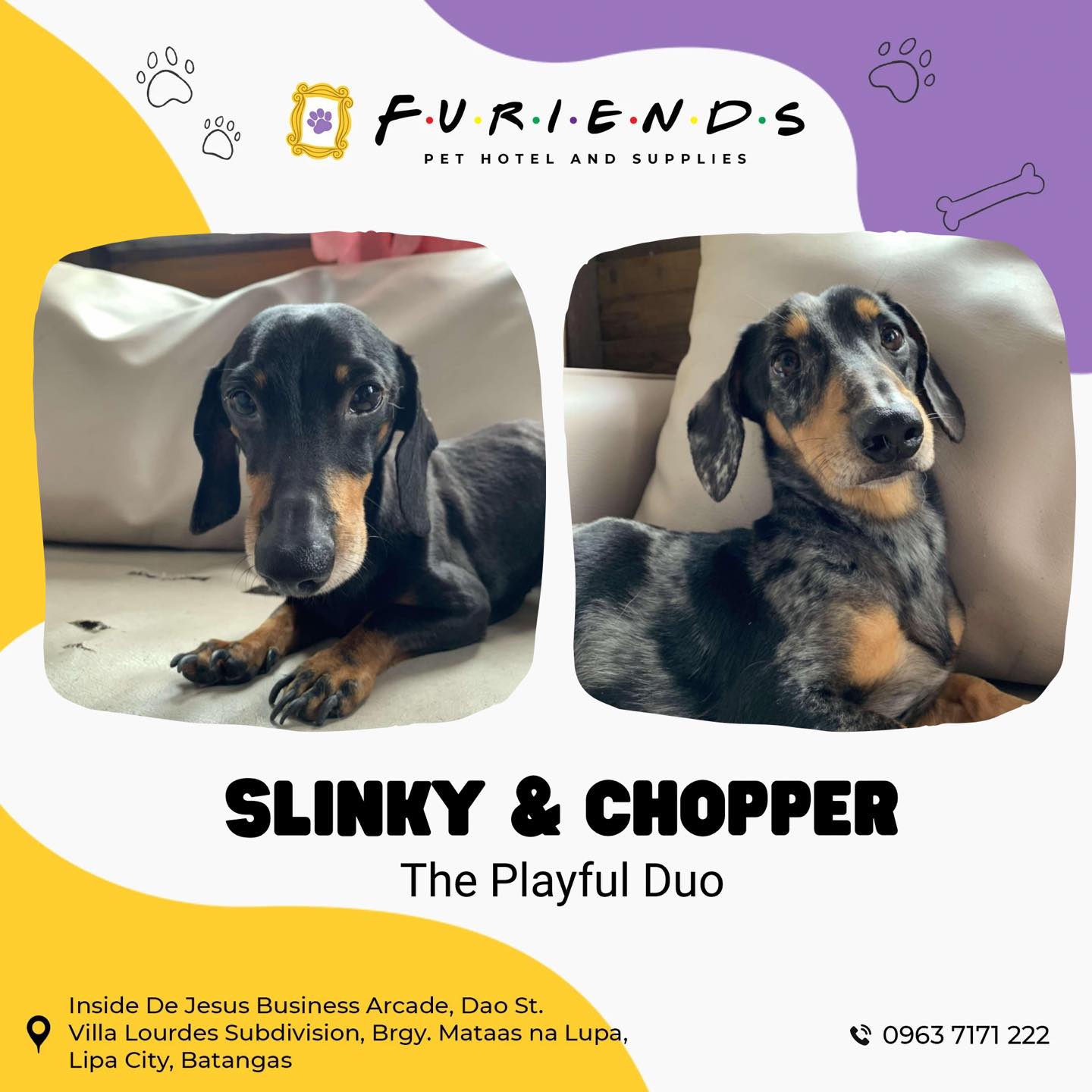 Furiends Pet Hotel & Supplies | Lipa City