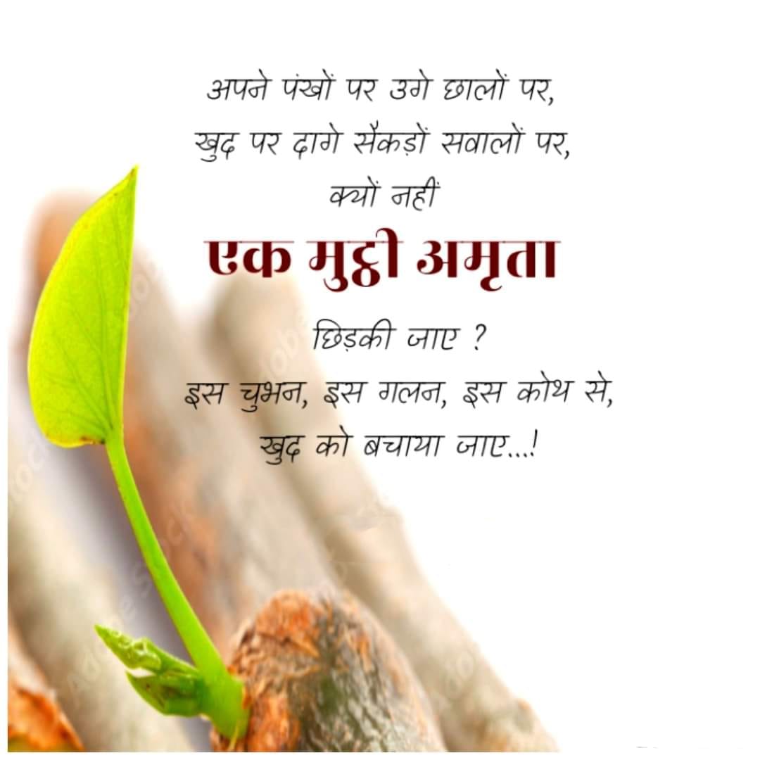 Amrita's Senseble Thoughts | Lucknow