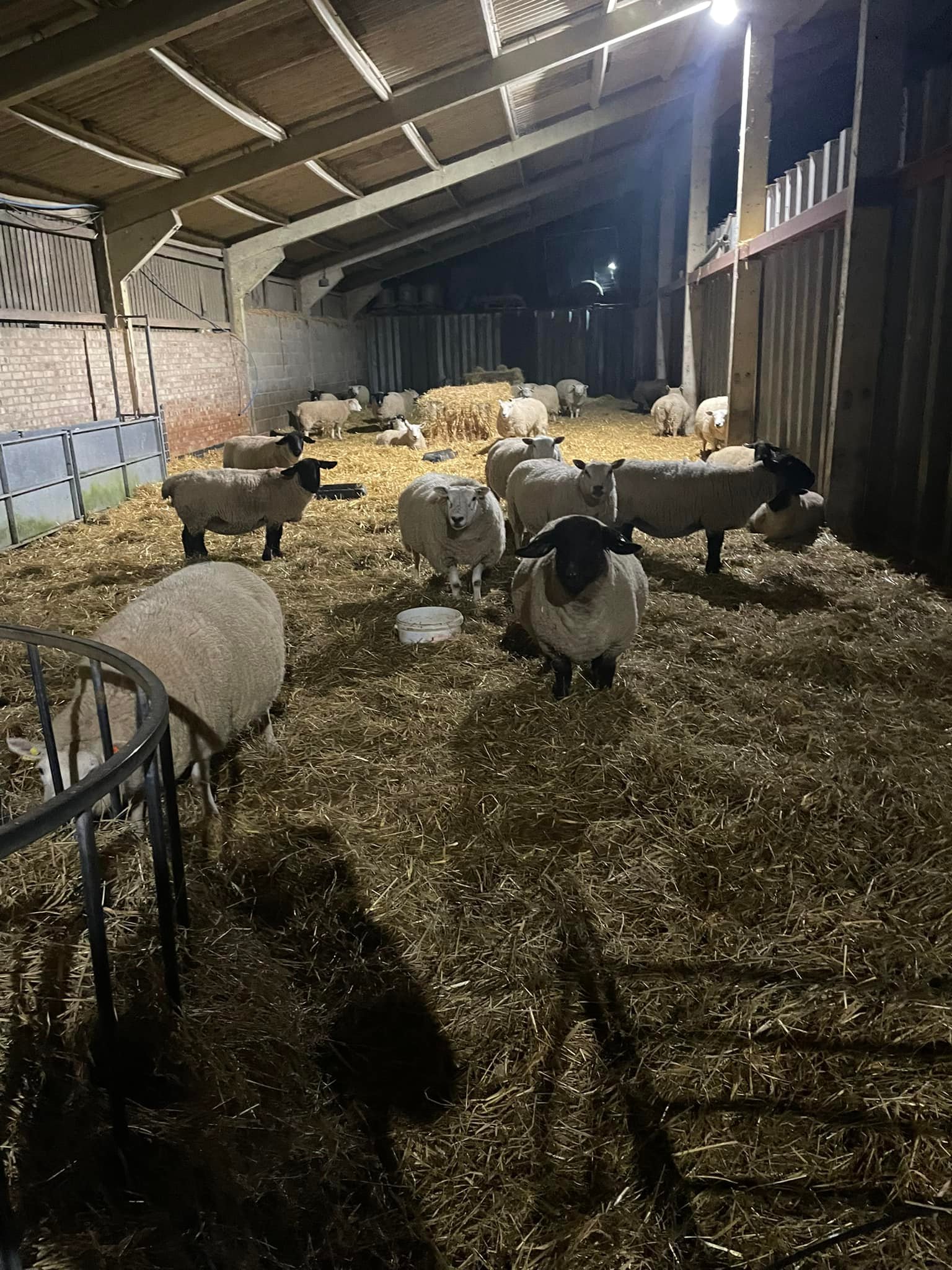 Ramridge Farm | Hitchin