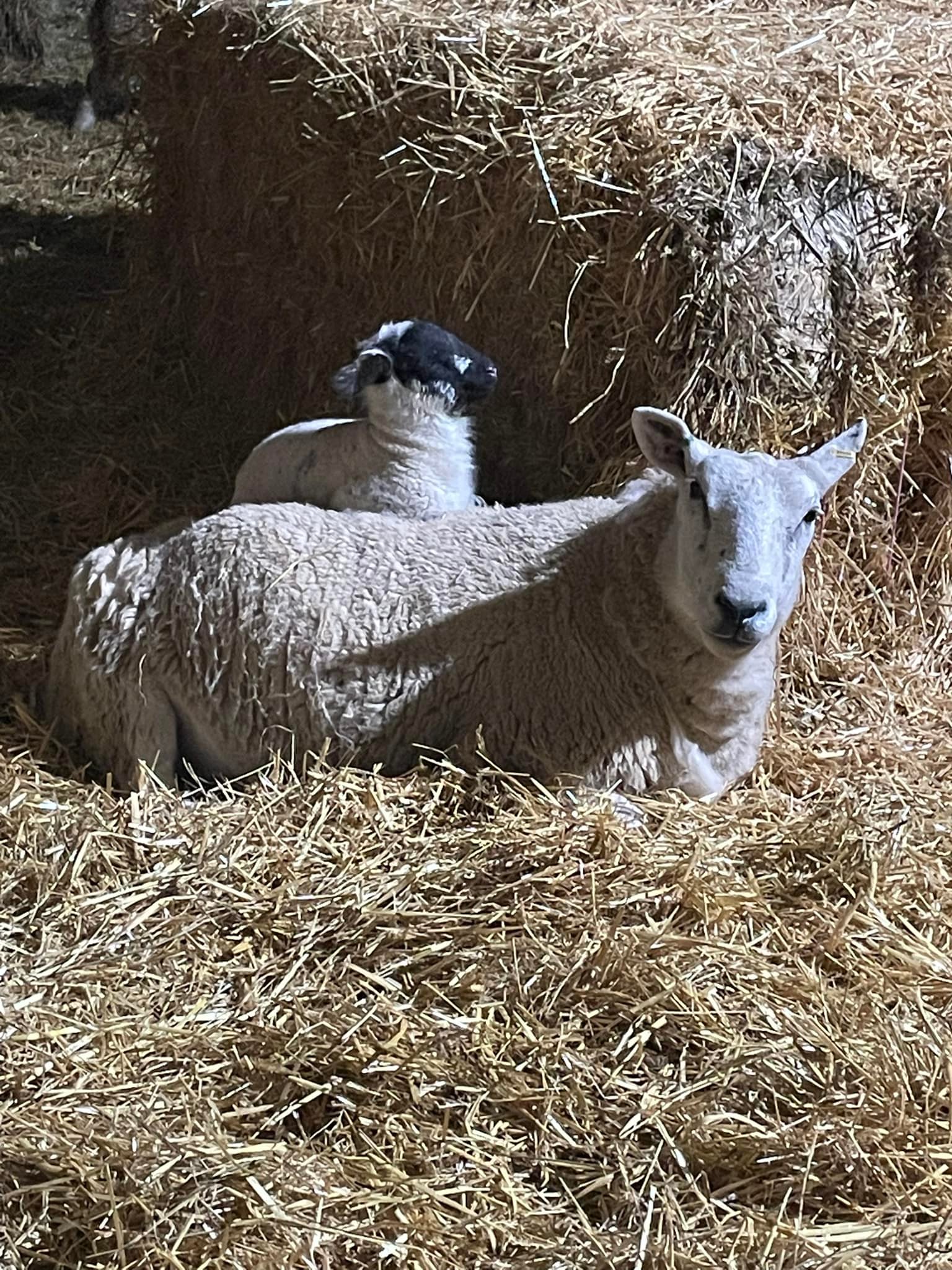 Ramridge Farm | Hitchin