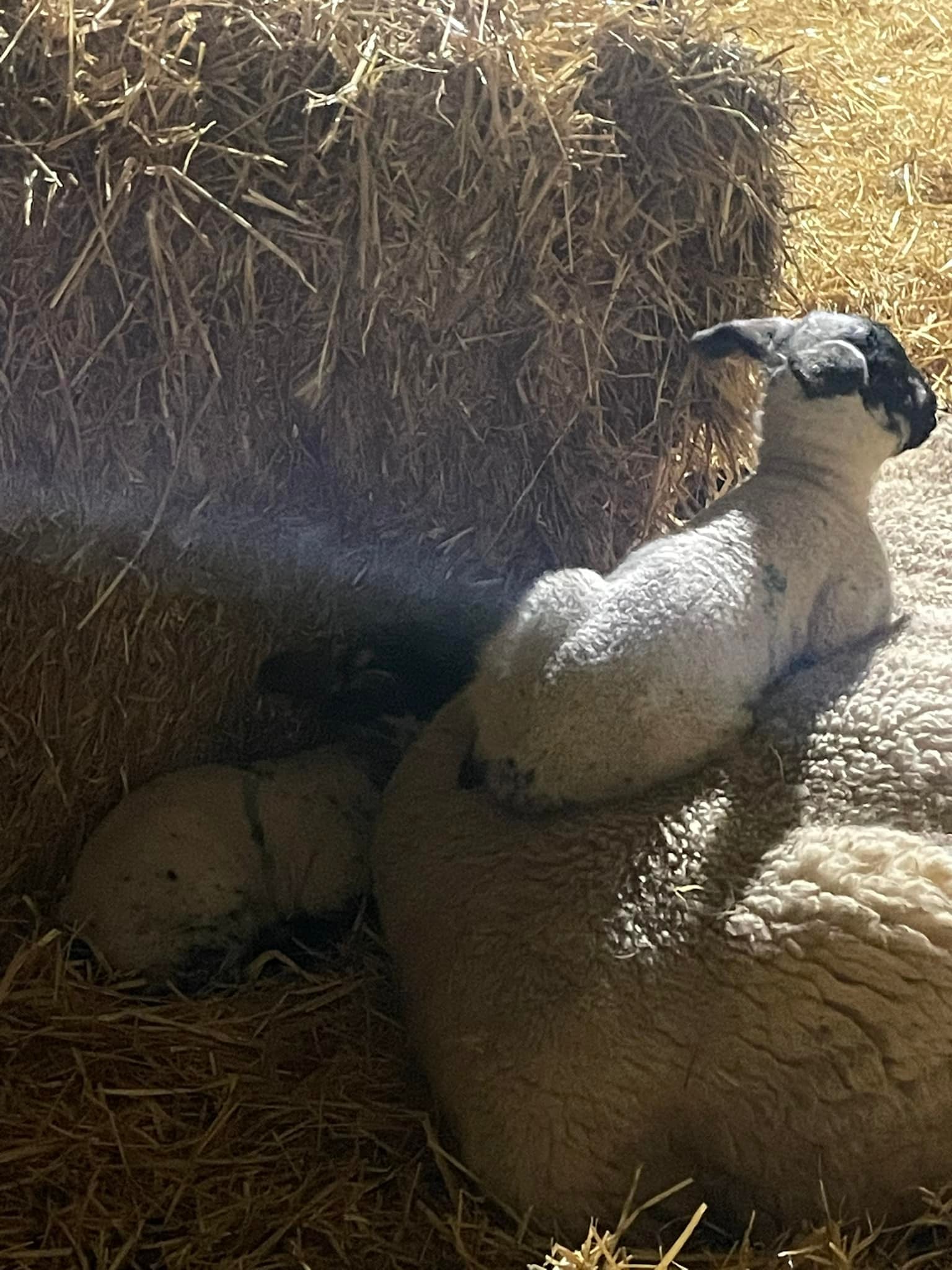 Ramridge Farm | Hitchin
