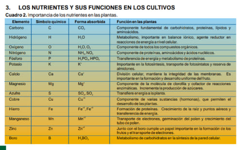 Los nutrientes y su función en las... - Biosagro Ecuador