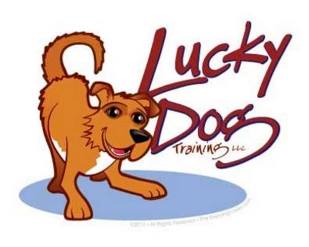 🐕 Positive Reinforcement w/o Food Treats Treat training with food is ...