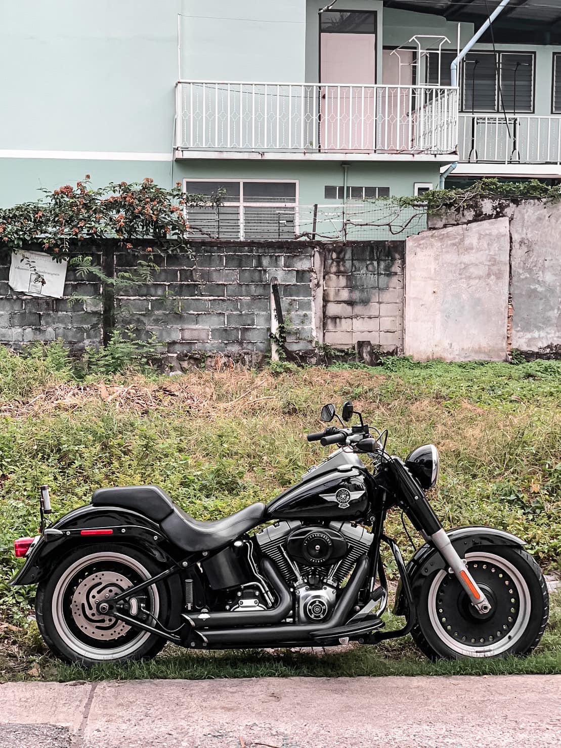 Max-Rider Shop - 🏁🏁🏁🏁🏁🏁🏁🏁🏁🏁🏁 Harley Davidson Softail... | Facebook