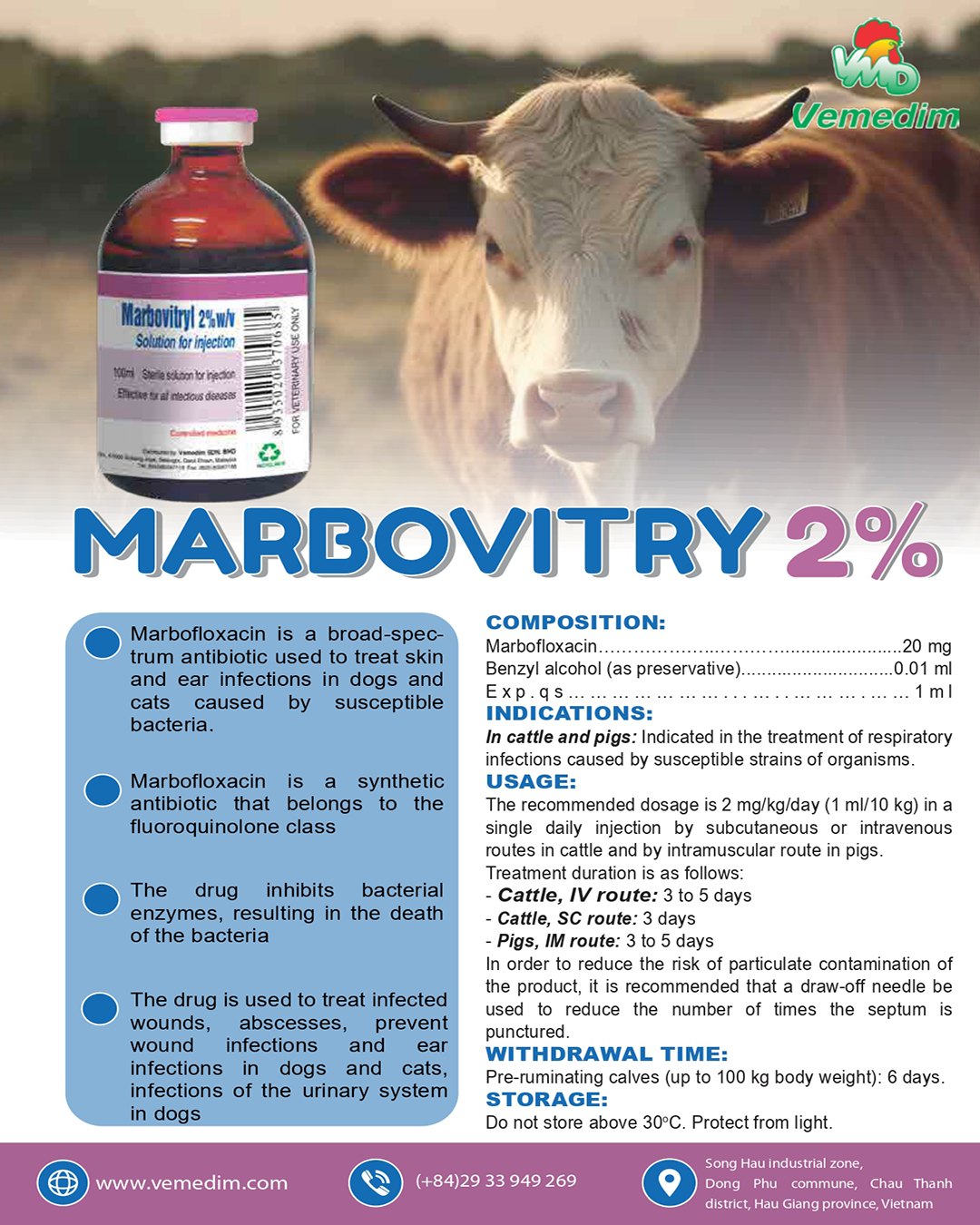 Intravenous Injection In Cattle How You Administer Injections Matters