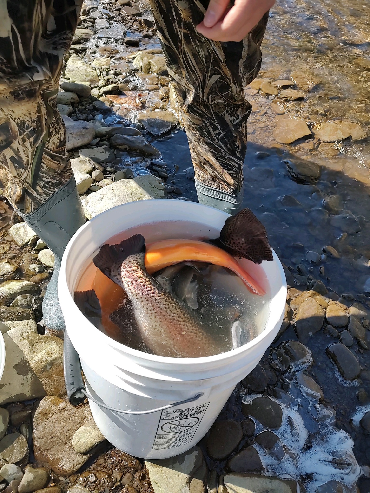 Tackle Shack - The Keystone Select stretch of Pine was... | Facebook