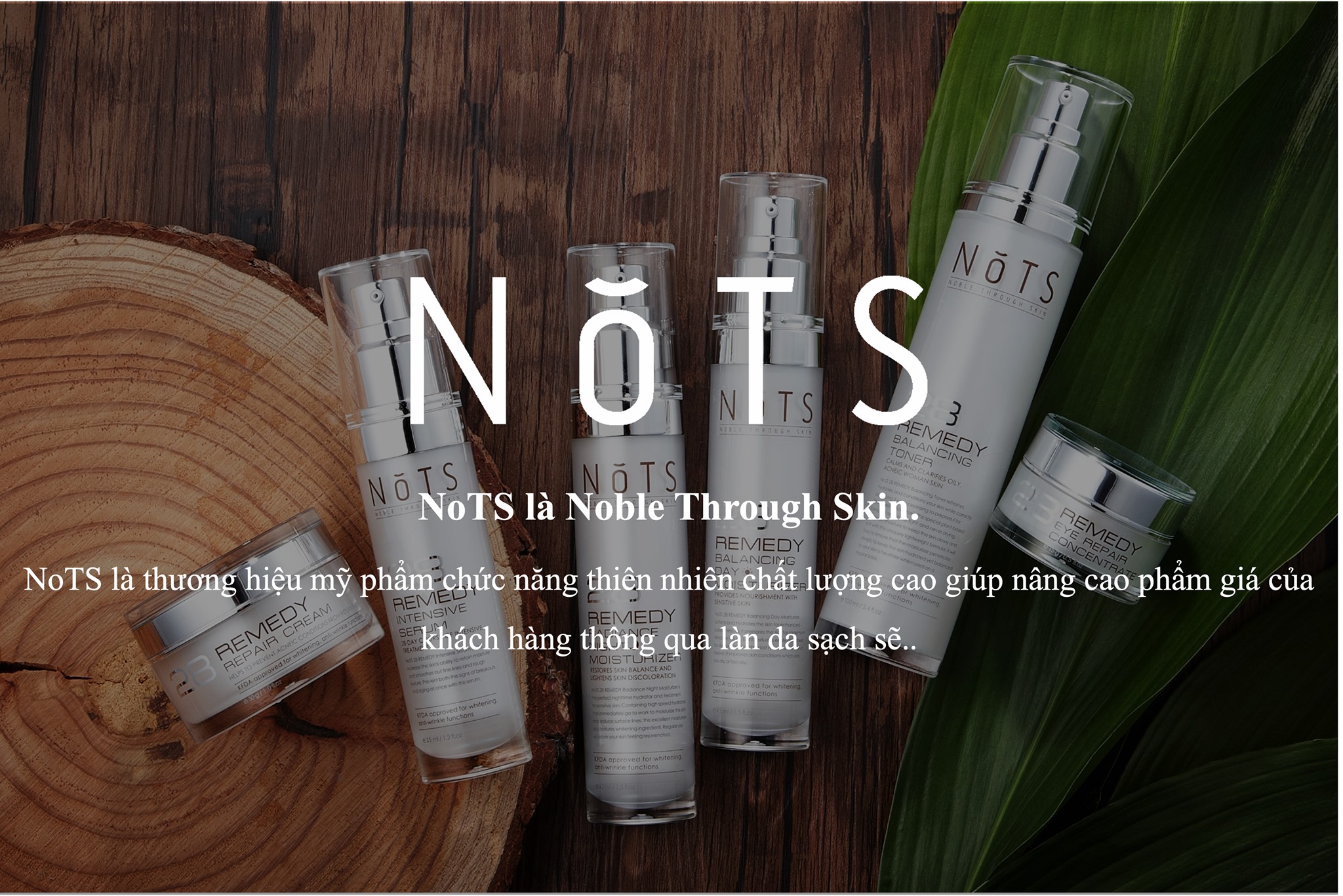 NoTS Vietnam | Quận Tân Bình