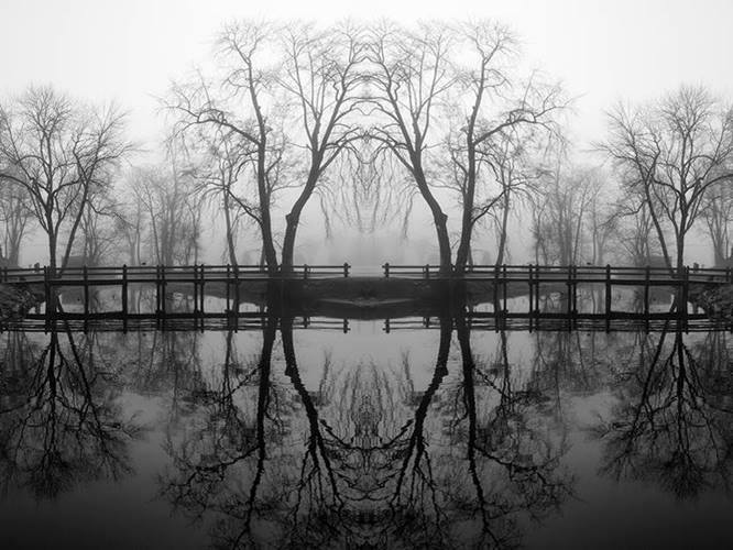 Congratulations to CVCC... - CT Valley Camera Club - Page