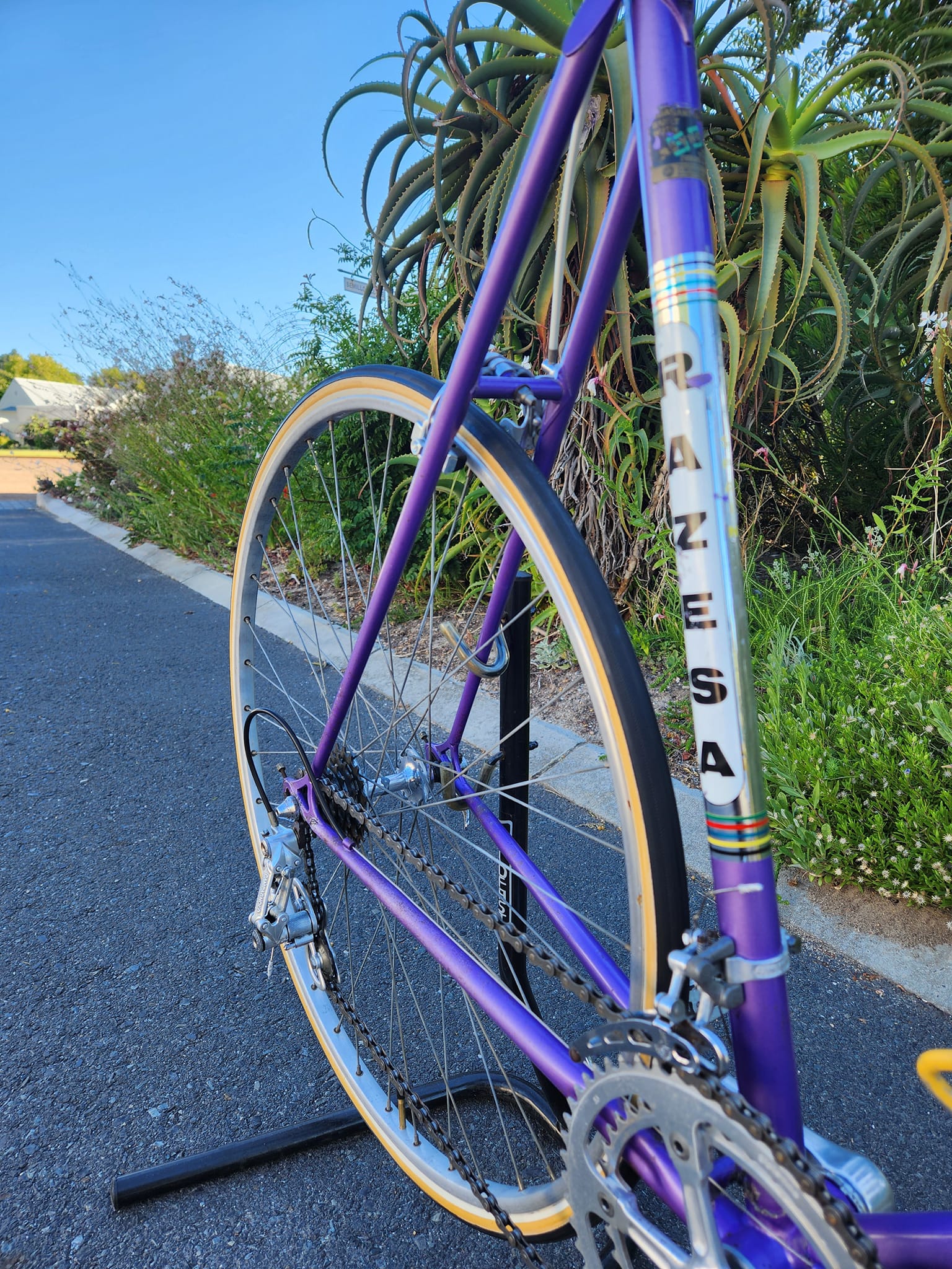 Vintage road bike with Reynolds 531 tubing and Campagnolo Nuovo Record