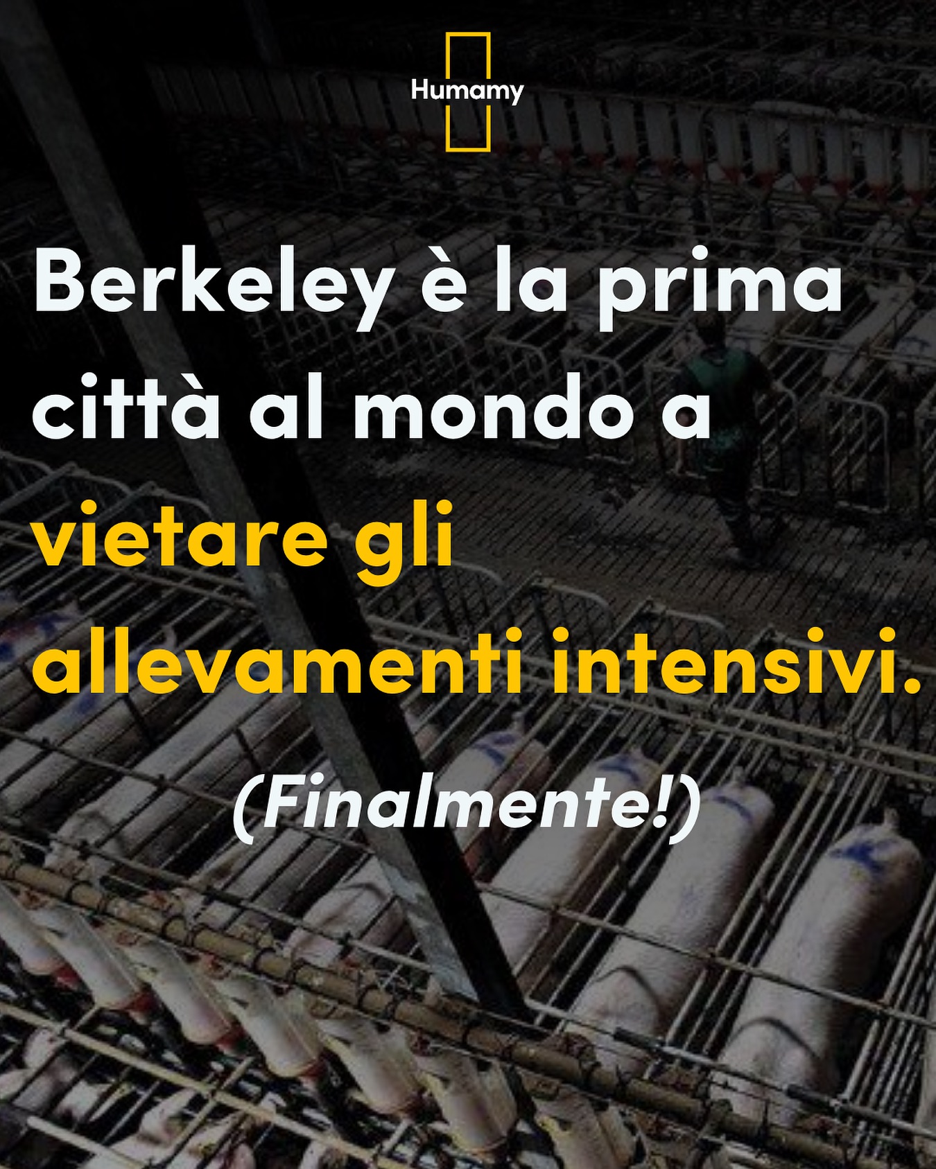 Humamy - 🗞️ Breaking News da Berkeley! La città...
